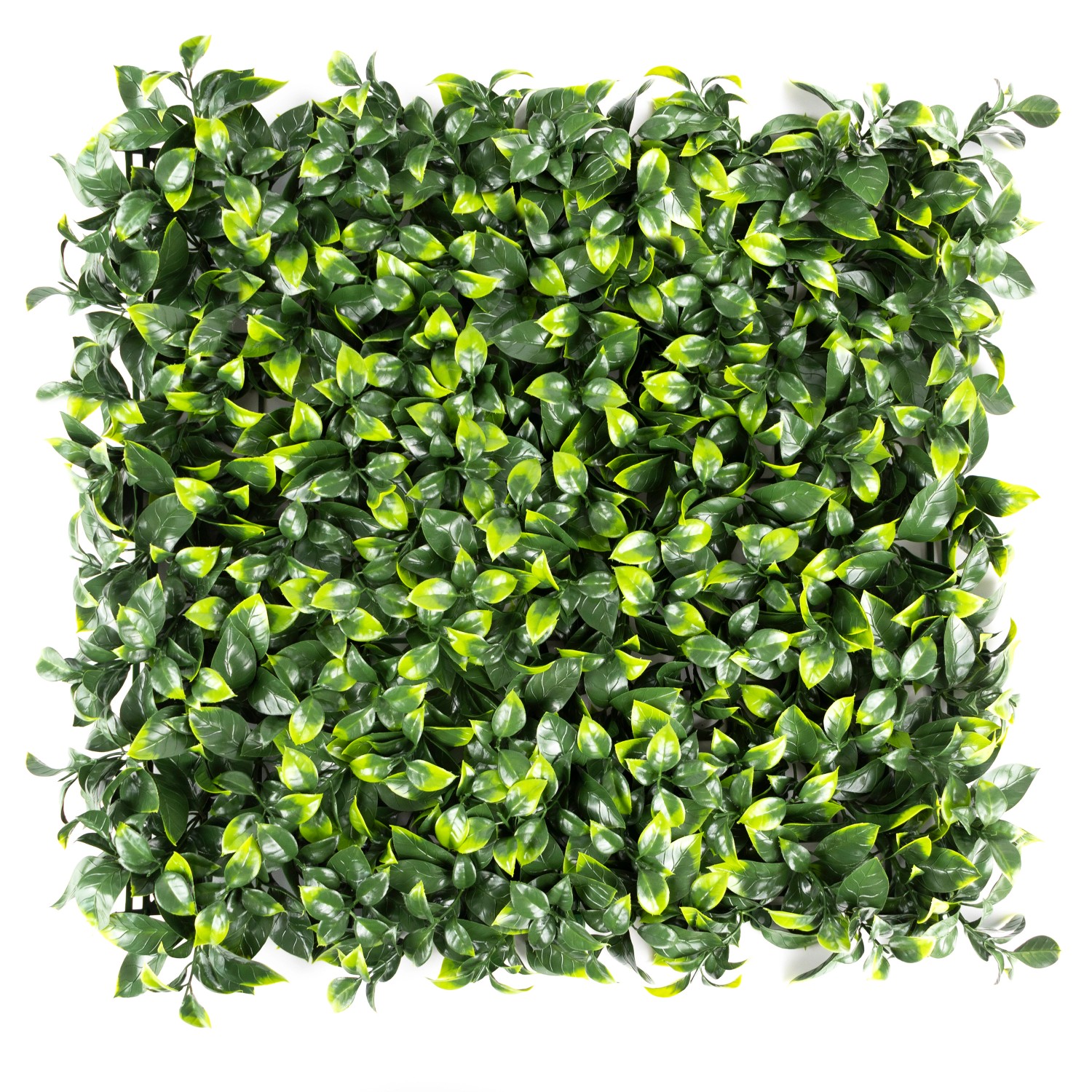 Primaflor Kunsthecke Ilex 50x50cm günstig online kaufen