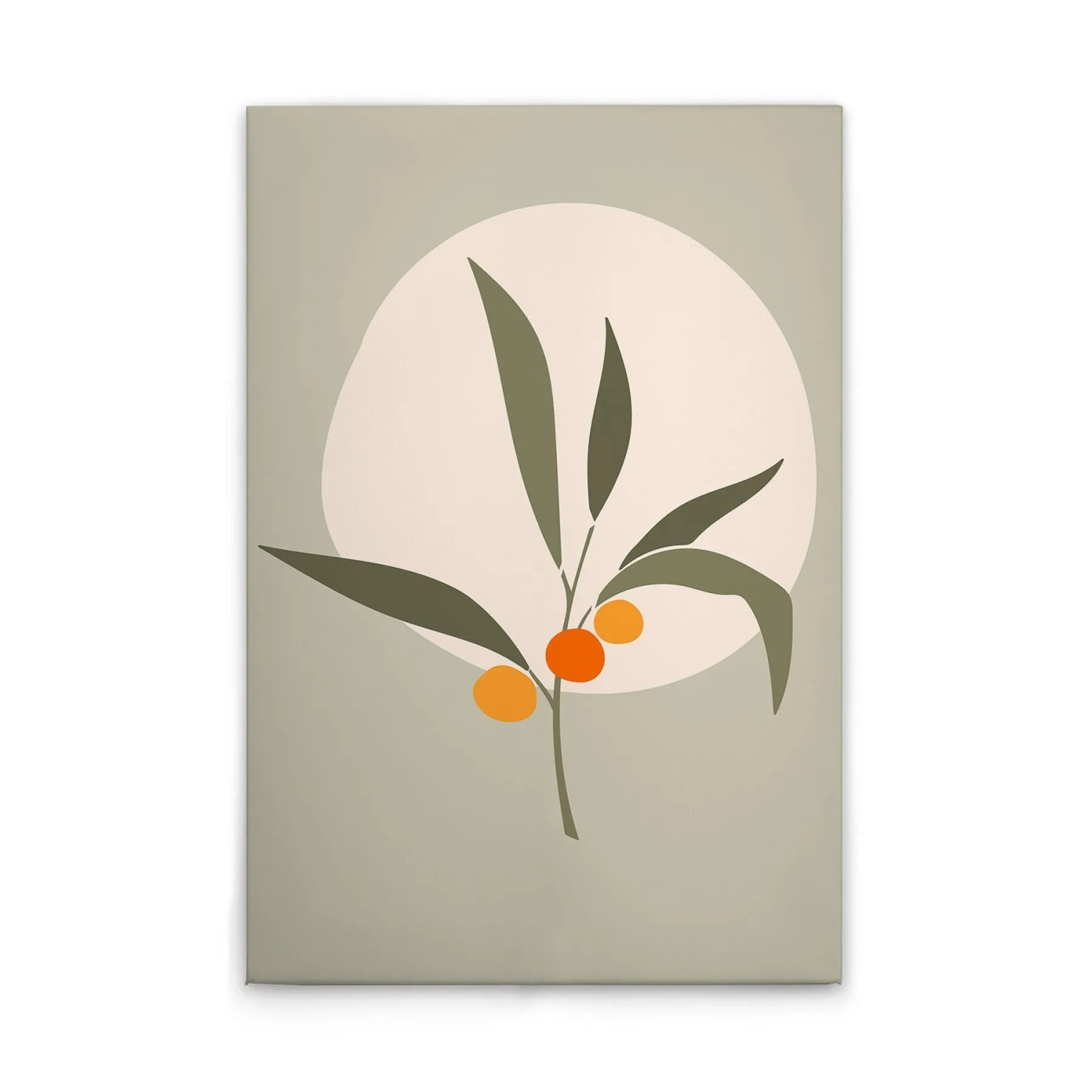 Tadessi Leinwandbild - M1-No.51453 - Olivenzweig Modern - 30 x 45 cm - Querformat