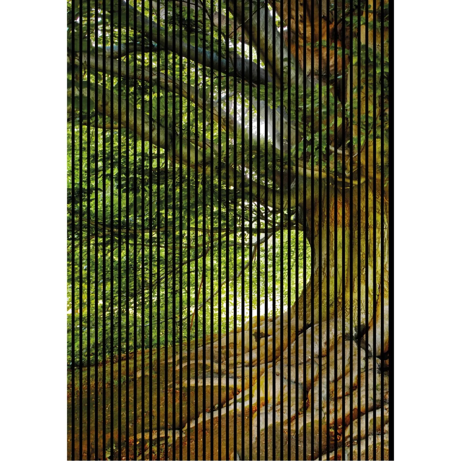 FN Acustico Akustikplatte Baum 1 PET u. MDF Foliert 1.693 x 19 x 2.400 mm