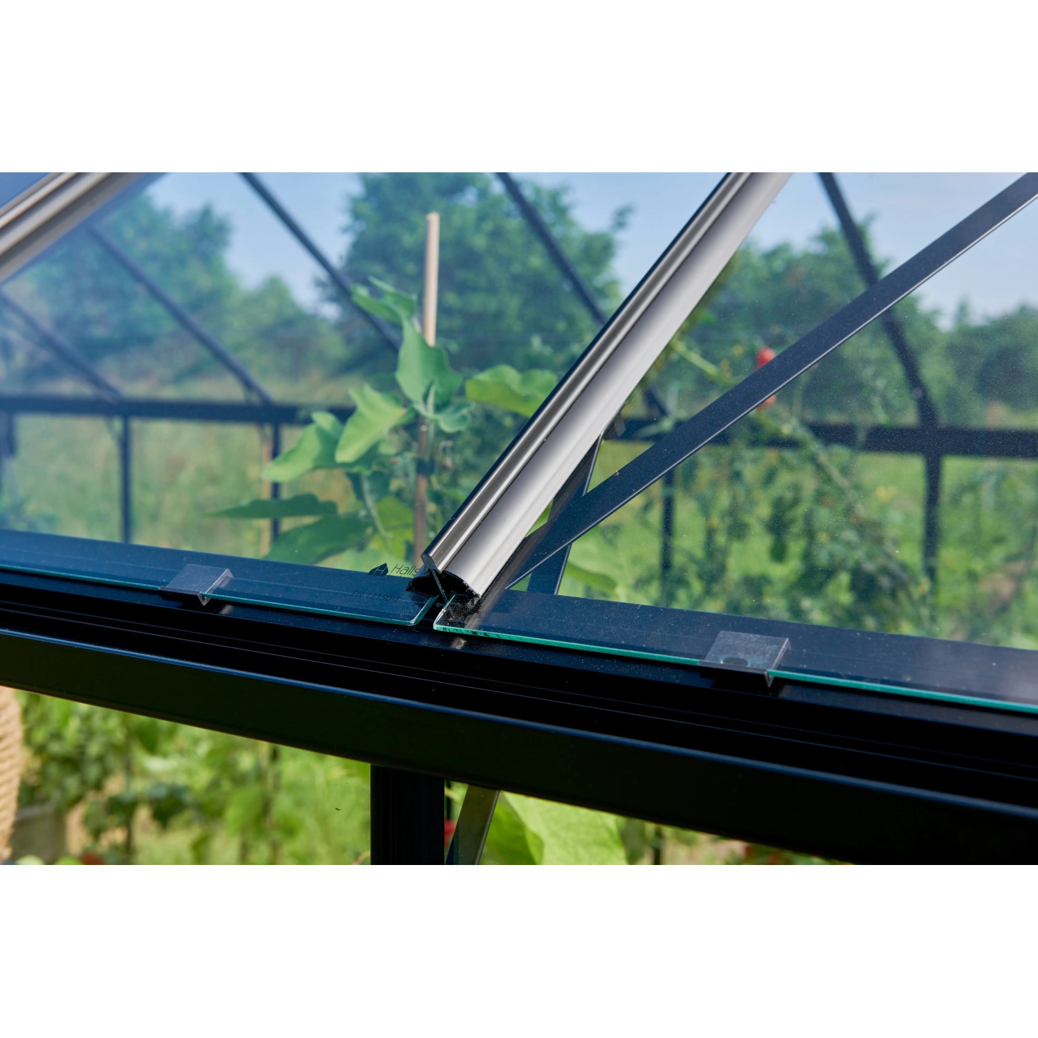 Detailaufnahme: Schwarzes Halls Gewächshaus Burford 610 mit Glas und Aluminiumrahmen.