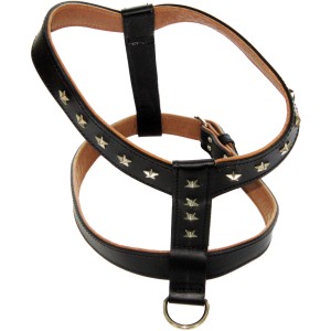 Schwarzes Heim Hundegeschirr aus Leder mit Stern-Applikationen, 30mm breit.