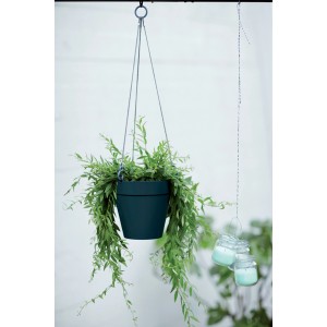 Anthrazitfarbene Elho Loft Urban Hängeampel Ø 20 cm mit grüner Pflanze, ideal für Balkon & Garten.