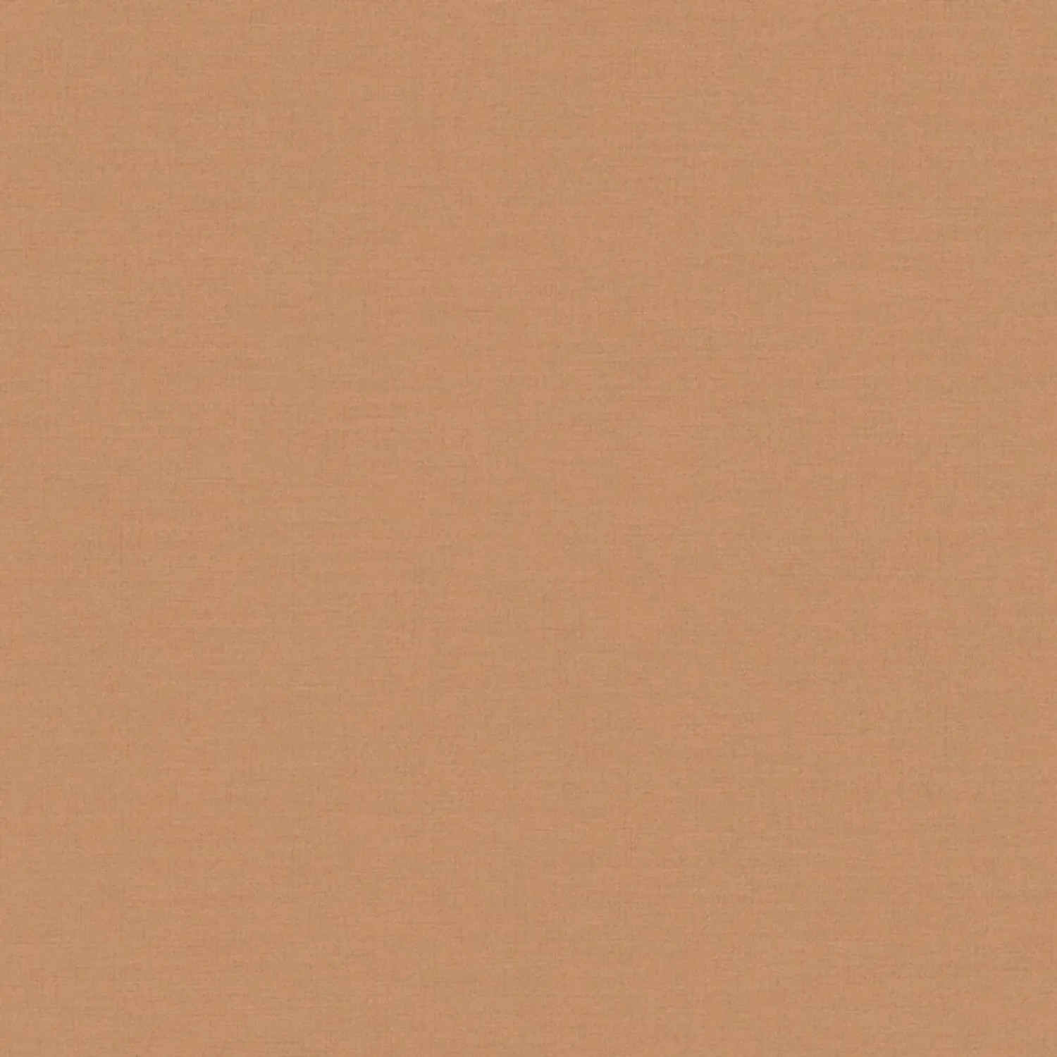 Tadessi Tapete Uni M1-No.4476 Vliestapete in Braun