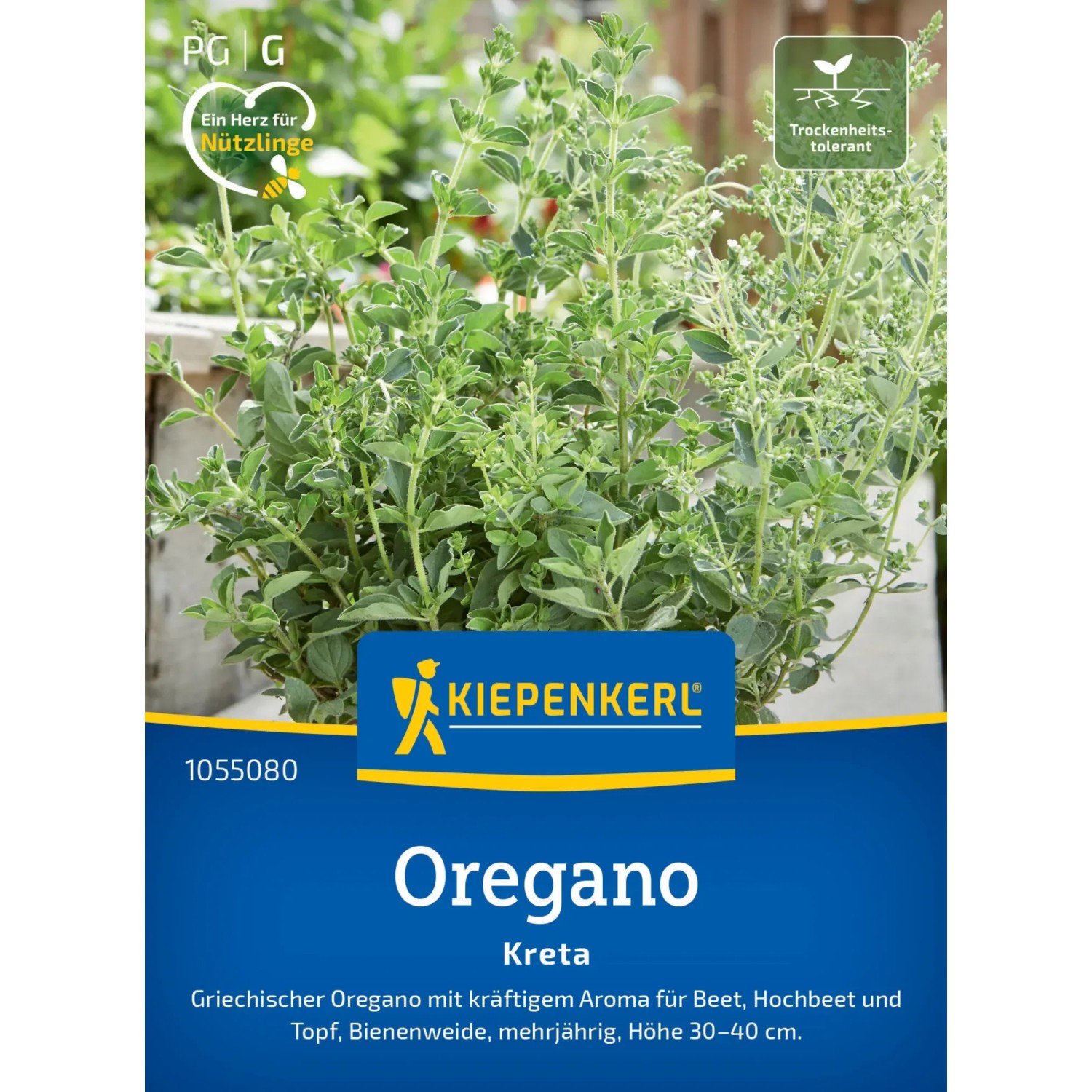 Kiepenkerl Profi-Line Saatgut Griechischer Oregano Kreta