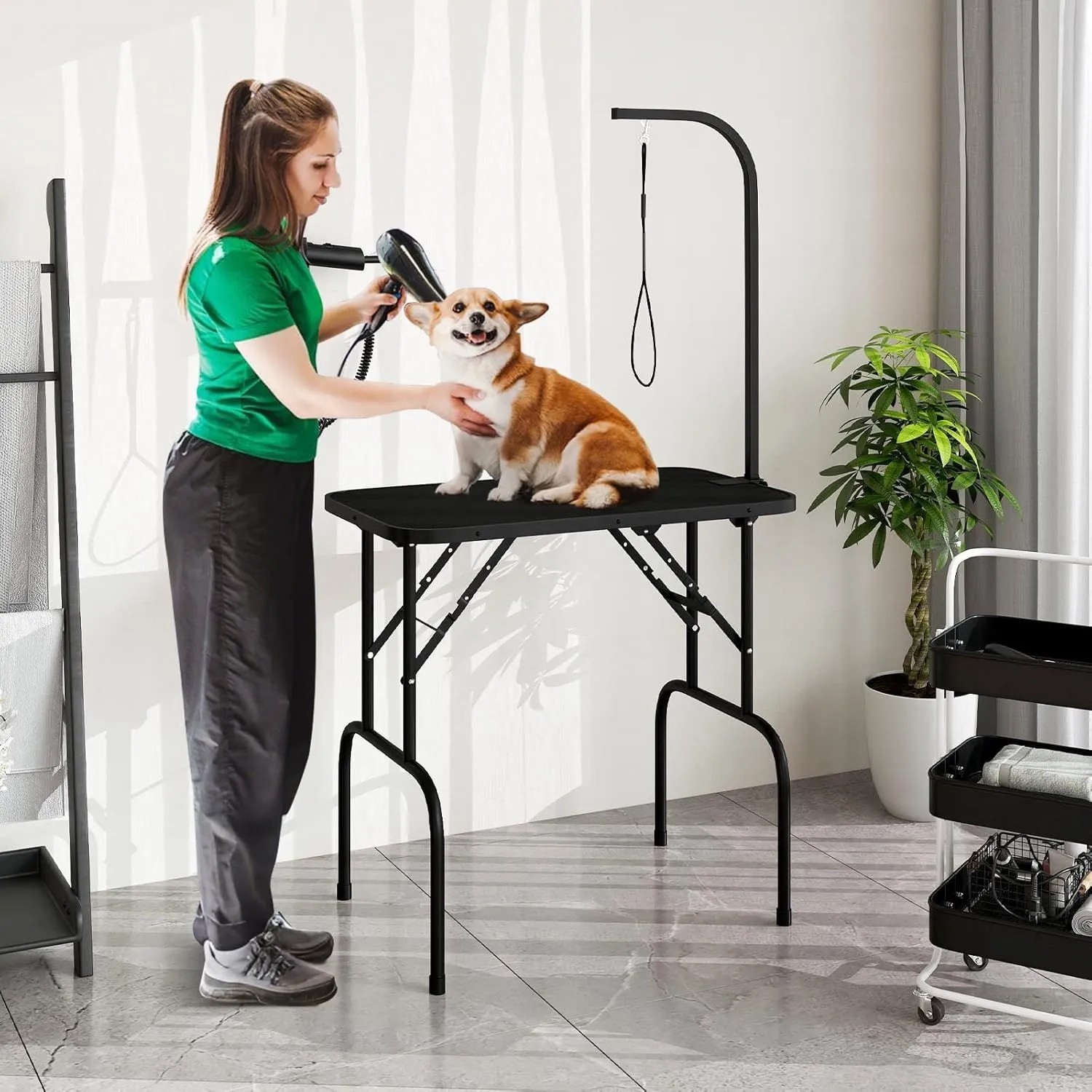 Schwarzer, klappbarer Costway Hundepflegetisch mit Hund und Hundefriseurin.