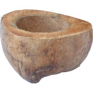 Proflora Kokosschale Vogeltränke, naturbelassene halbe Kokosnuss als Tränke.