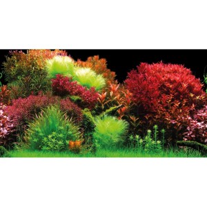 Selbstklebende Aquariumrückwand mit dichtem Pflanzenmotiv. Leuchtende rote und grüne Wasserpflanzen für Aquarien.