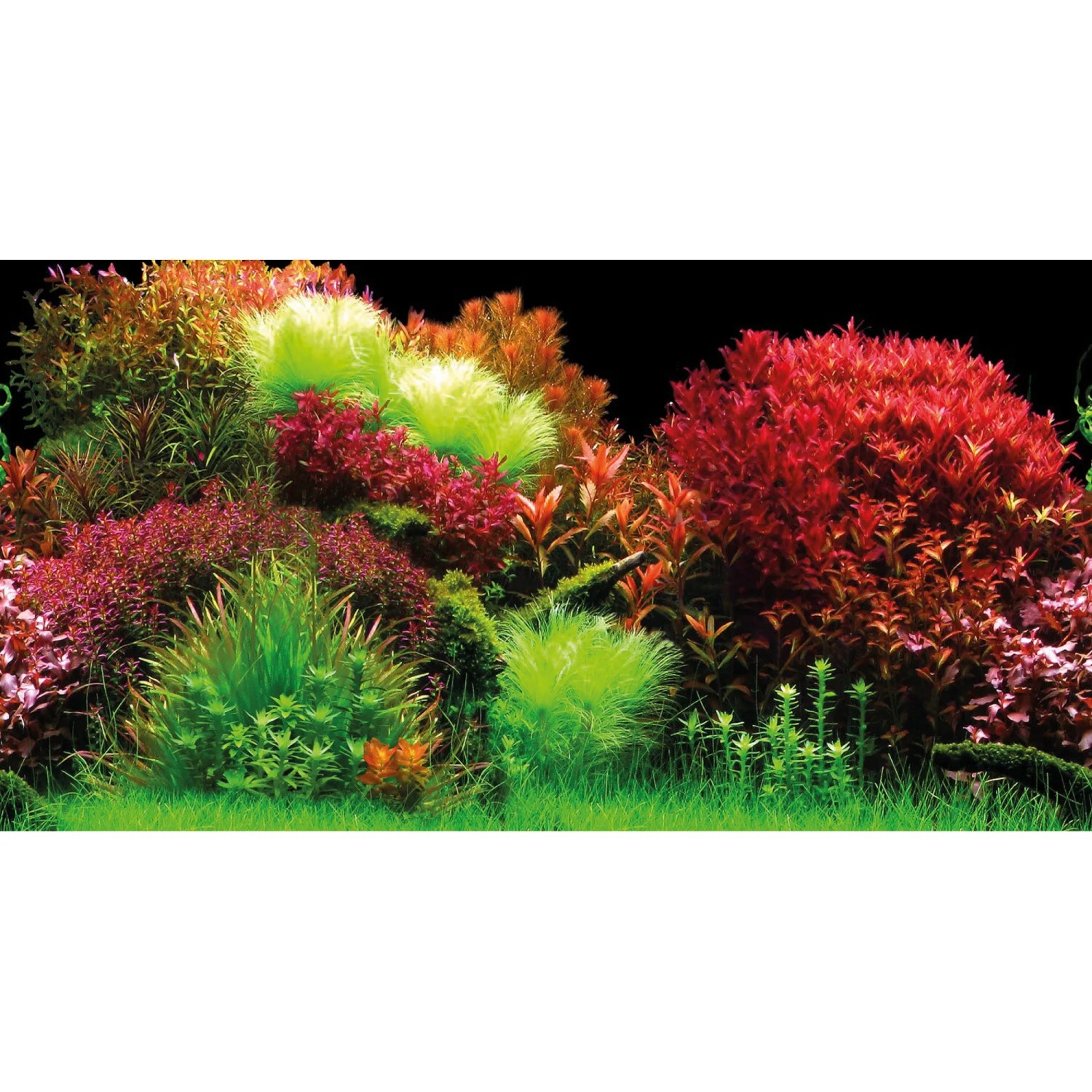 Hobby Fotorückwand-Zuschnitt Selbstklebend 120 cm x 50 cm Ocean