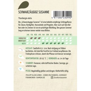 FRANKONIA Schwarzäugige Susanne