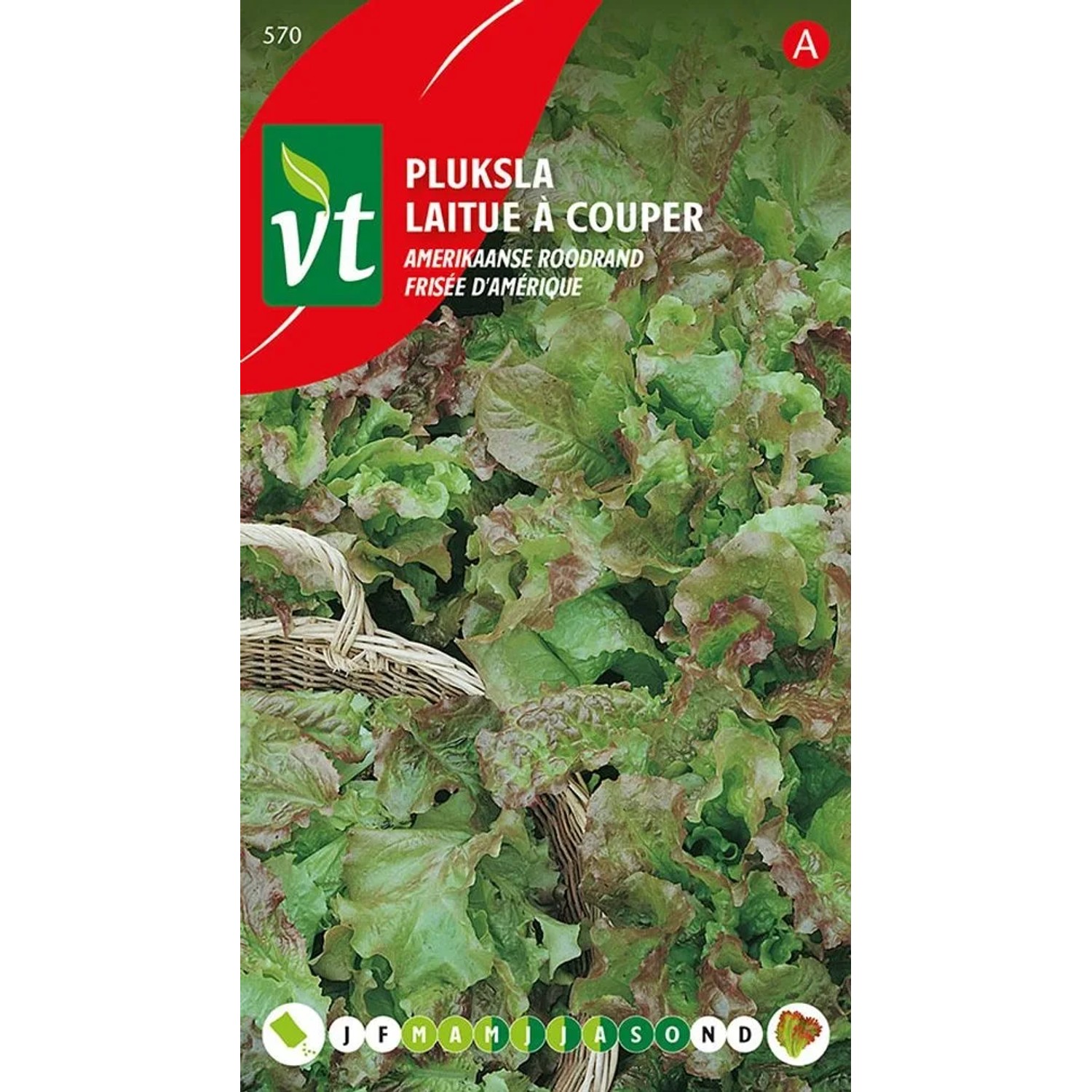 Kopfsalat 'American Redhead' Saatgut ca. 4 g Rötliche Blätter
