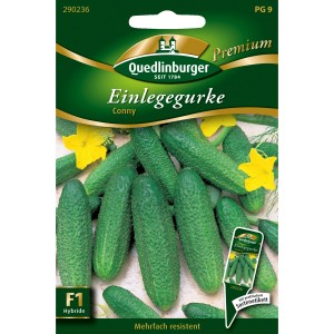 Samentüte Quedlinburger Einlegegurken "Conny" mit Abbildung von Gurken und gelben Blüten.