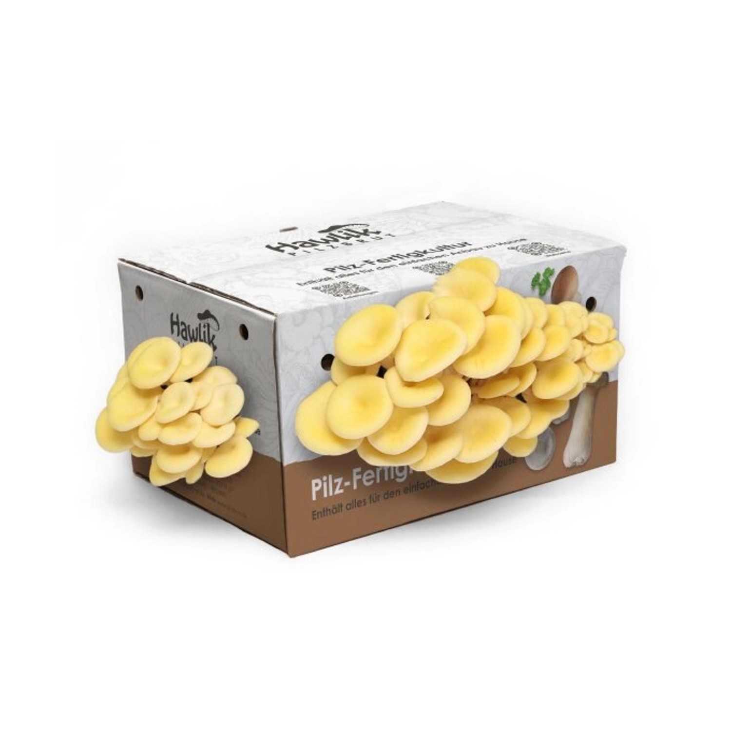 Hawlik Pilzbrut Kleine Limonenpilz-Kultur zum Pilze Züchten Komplettset für günstig online kaufen