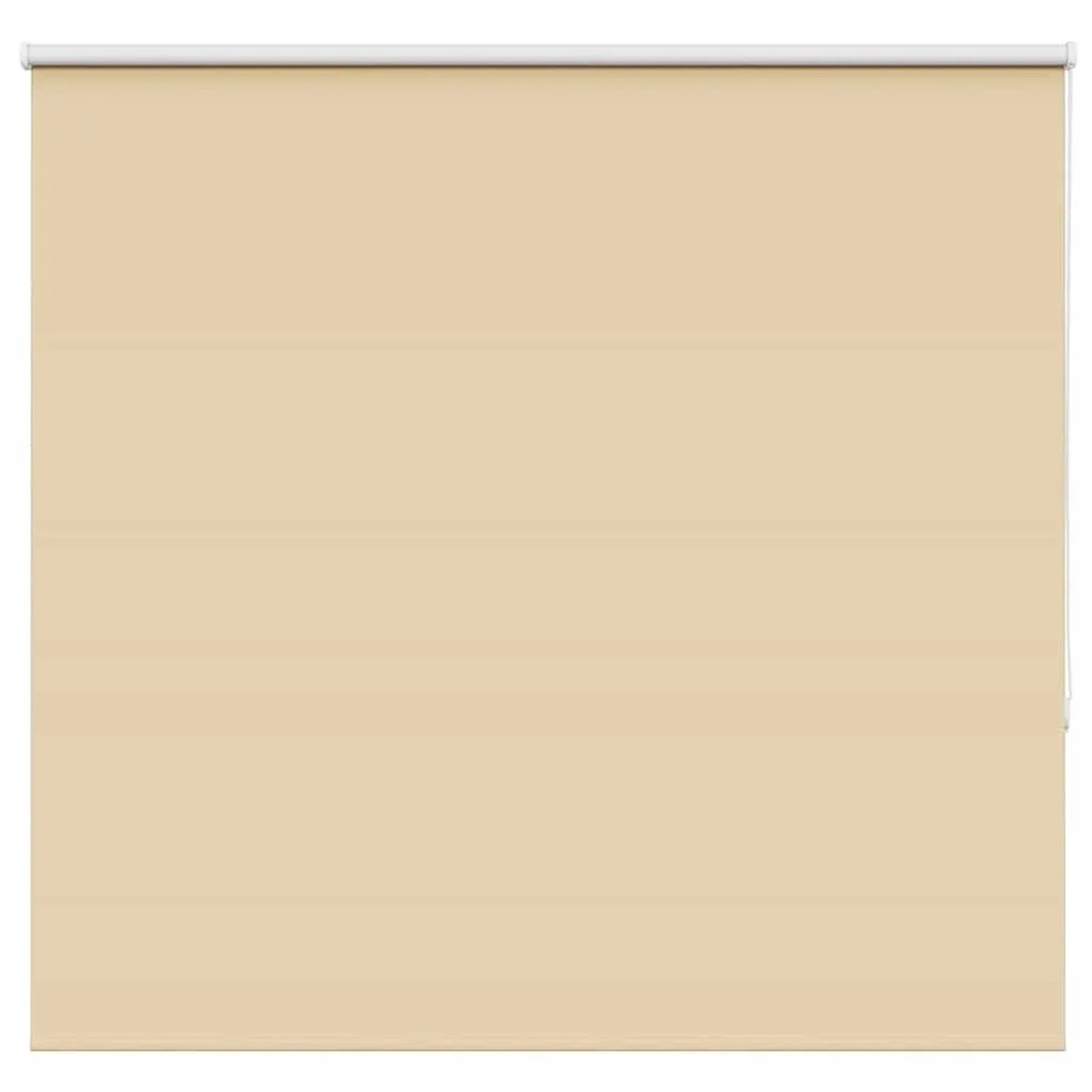 vidaXL Verdunkelungsrollo Beige 150x175 cm Stoffbreite 146,6 cm 4010774