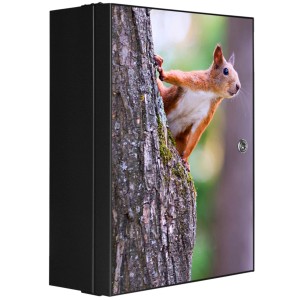 Abschließbarer Banjado XXL Medizinschrank in Anthrazit mit Eichhörnchen Motiv auf der Front.