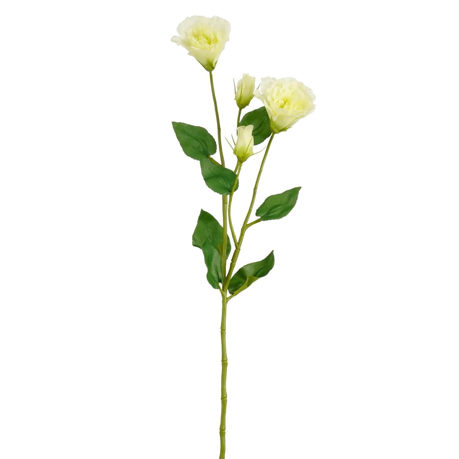 Mica Decorations Lisianthus Hellgrün 72 cm