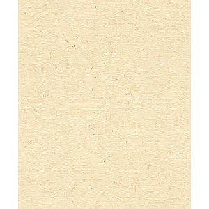 Rasch Vliestapete Factory V in Warmbeige mit Betonoptik, Detailansicht.