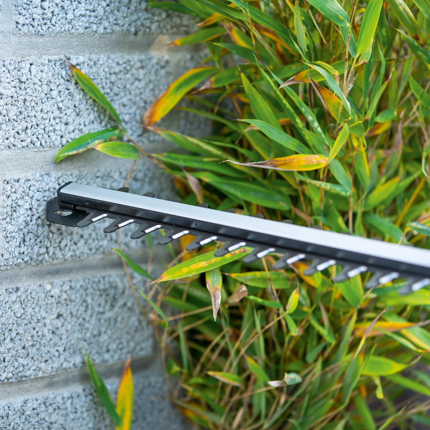 LUX Akku-Heckenschere A-HS-20/52 im Einsatz: Schneiden von Bambushecke. Präzise und kabellos.