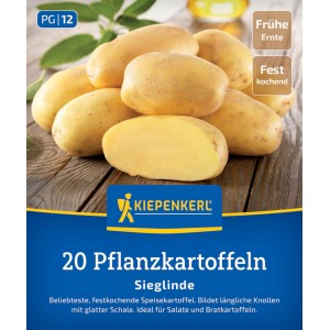 Kiepenkerl Pflanzkartoffel Sieglinde, 20 St