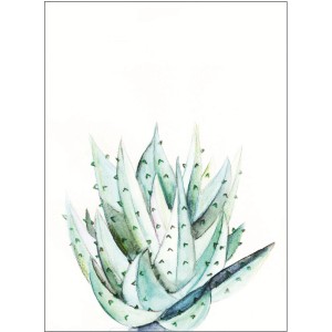 Wandbild Aloe Watercolor, 40x50 cm. Aquarell-Optik einer Aloe Vera Pflanze. Dekoratives Bild für Wohnräume.