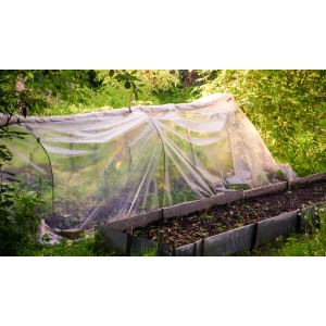 Transparente Aquagart Gartenfolie als Frühbeetabdeckung im Garten.