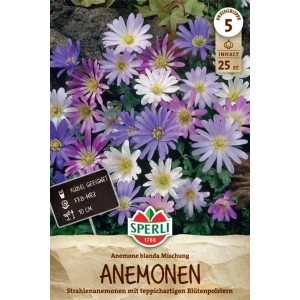 Sperli Balkan-Windröschen Blumenzwiebeln, Mischung aus blauen, violetten, rosa und weißen Blüten.