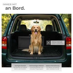 Zusammengeklappte Tectake Hunderampe Paw Step im Kofferraum mit Hund.