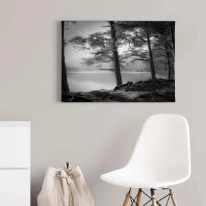 Wandbild mit See und Wald in Schwarz-Weiß, Leinwandbild für Wohnraum.