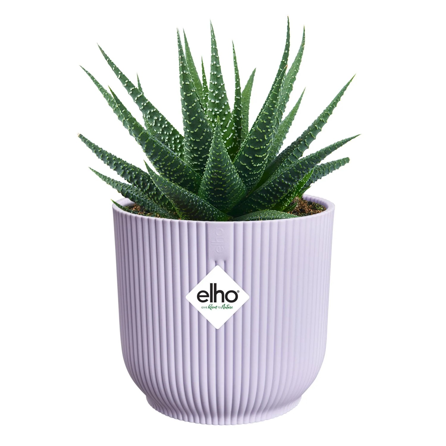 Lila Elho Vibes Fold Blumentopf, rund und gerippt, mit grüner Sukkulente. Ideal für Innenräume.
