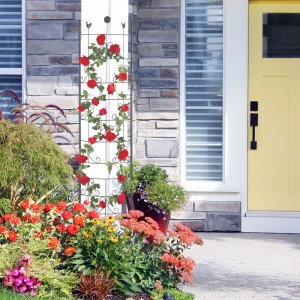 Schwarzes, wetterfestes Metall-Rankgitter mit roten Kletterrosen im Garten. Dekoratives Rankspalier für Pflanzen, 180 cm.