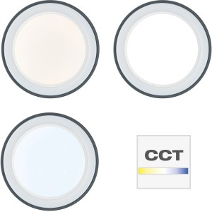 Smarte LED-Deckenleuchte Tessy, Ø 39cm, mit einstellbarer Lichtfarbe und RGB-Rand.