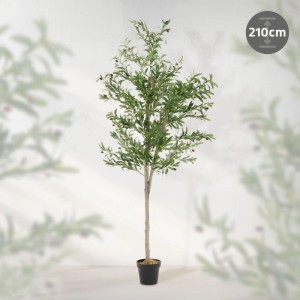 ML-Design Künstlicher Olivenbaum 210 cm Groß mit Früchten