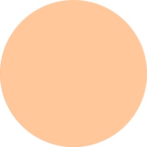 Farbfeld der Alpina Wandfarbe Pure Farben Papayaorange.