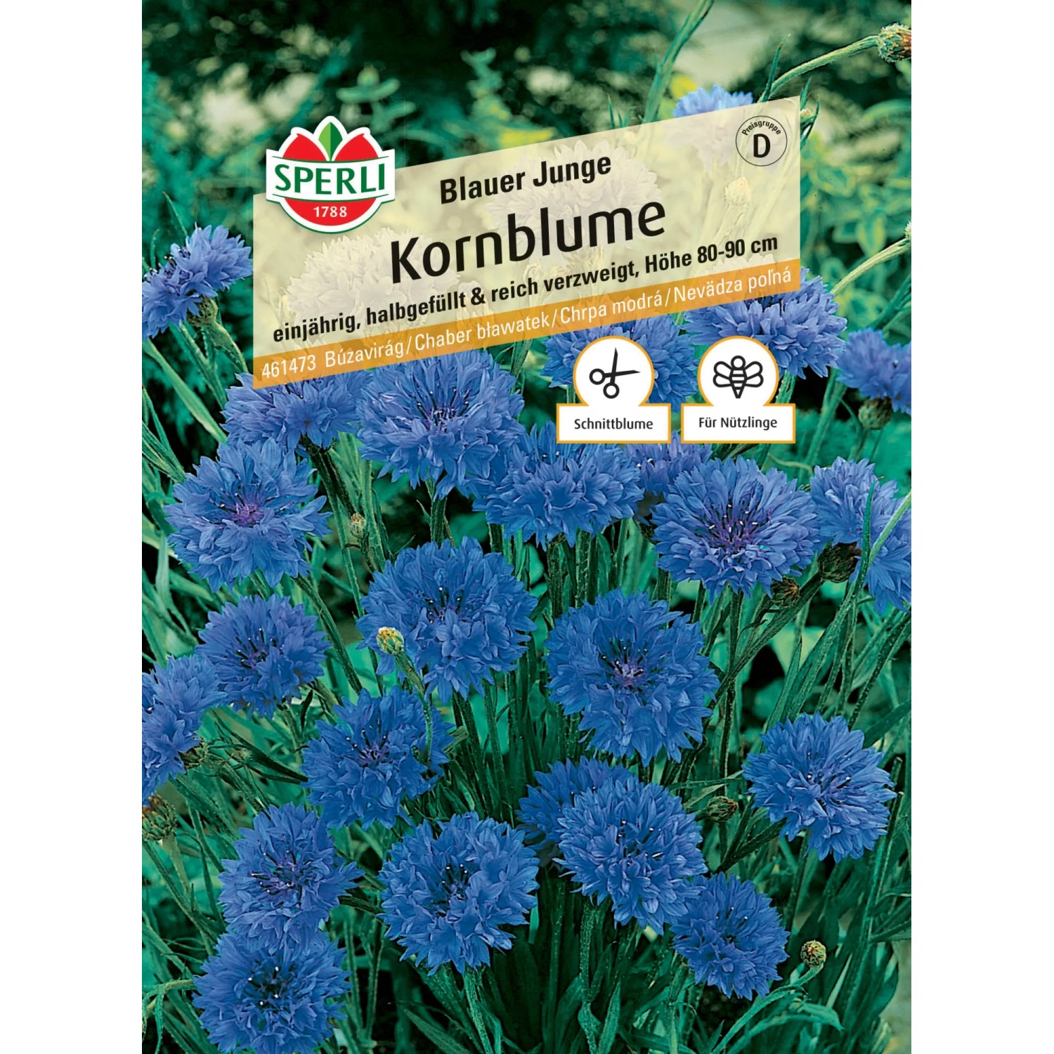 Sperli Kornblume "Blauer Junge" Centaurea cyanus