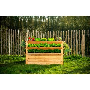 Westmann Hochbeet Premium XXL aus Lärchenholz, bepflanzt mit Gemüse und Kräutern.