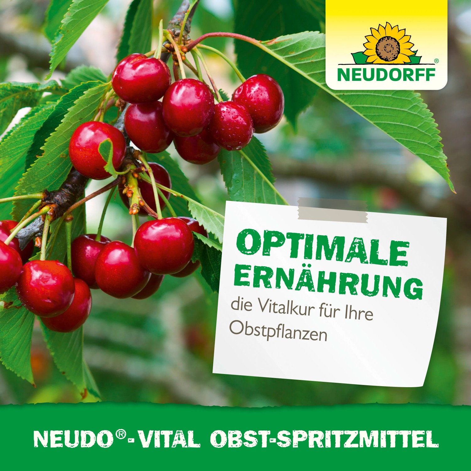 Neudorff Neudo-Vital Obst-Spritzmittel für gesunde Pflanzen und reiche Ernte.