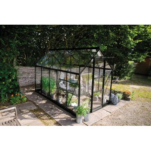 Schwarzes Halls Gewächshaus Icon 6 mit Pflanzen und Regalen im Garten.