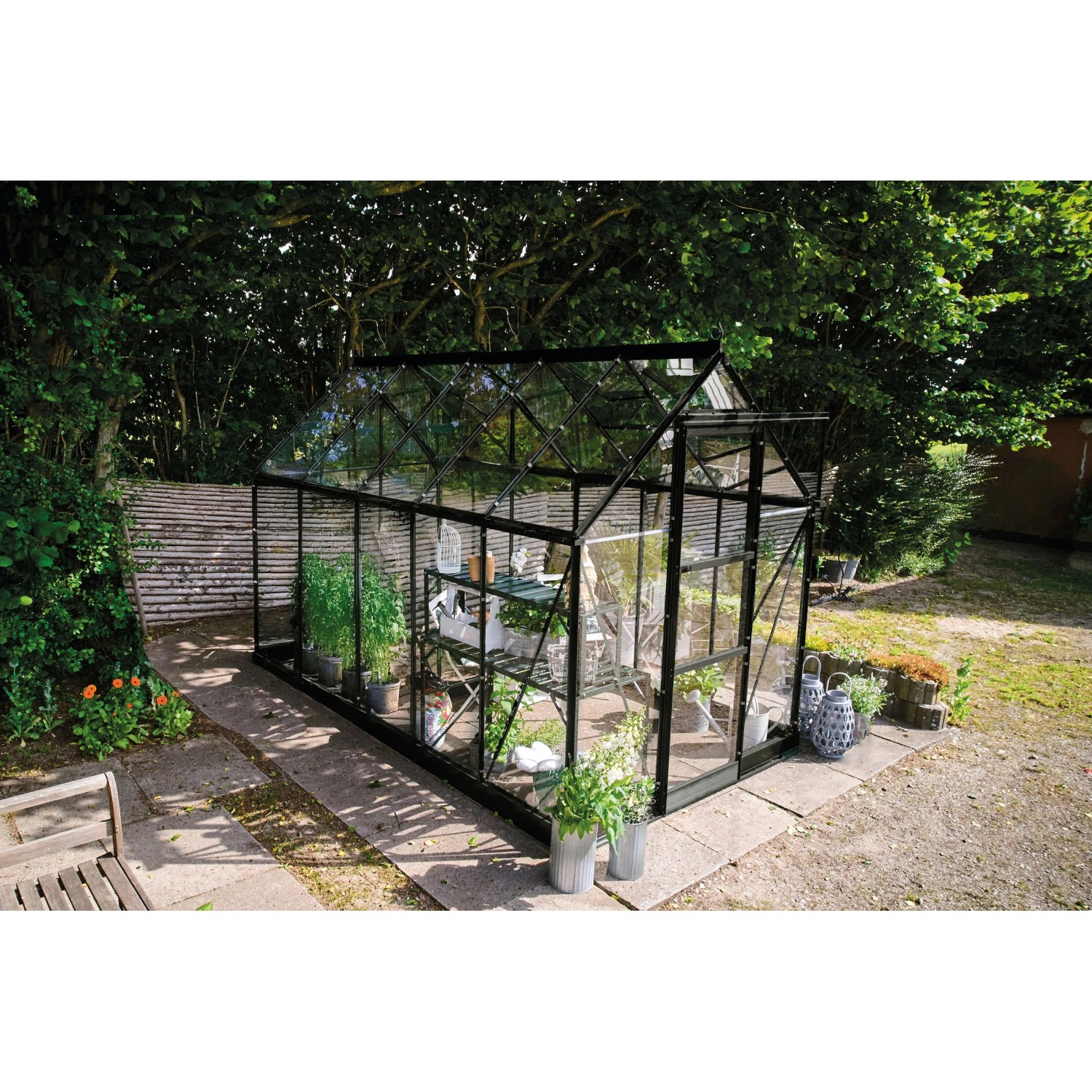Halls Gewächshaus Icon 6 Schwarz 6,1 m²