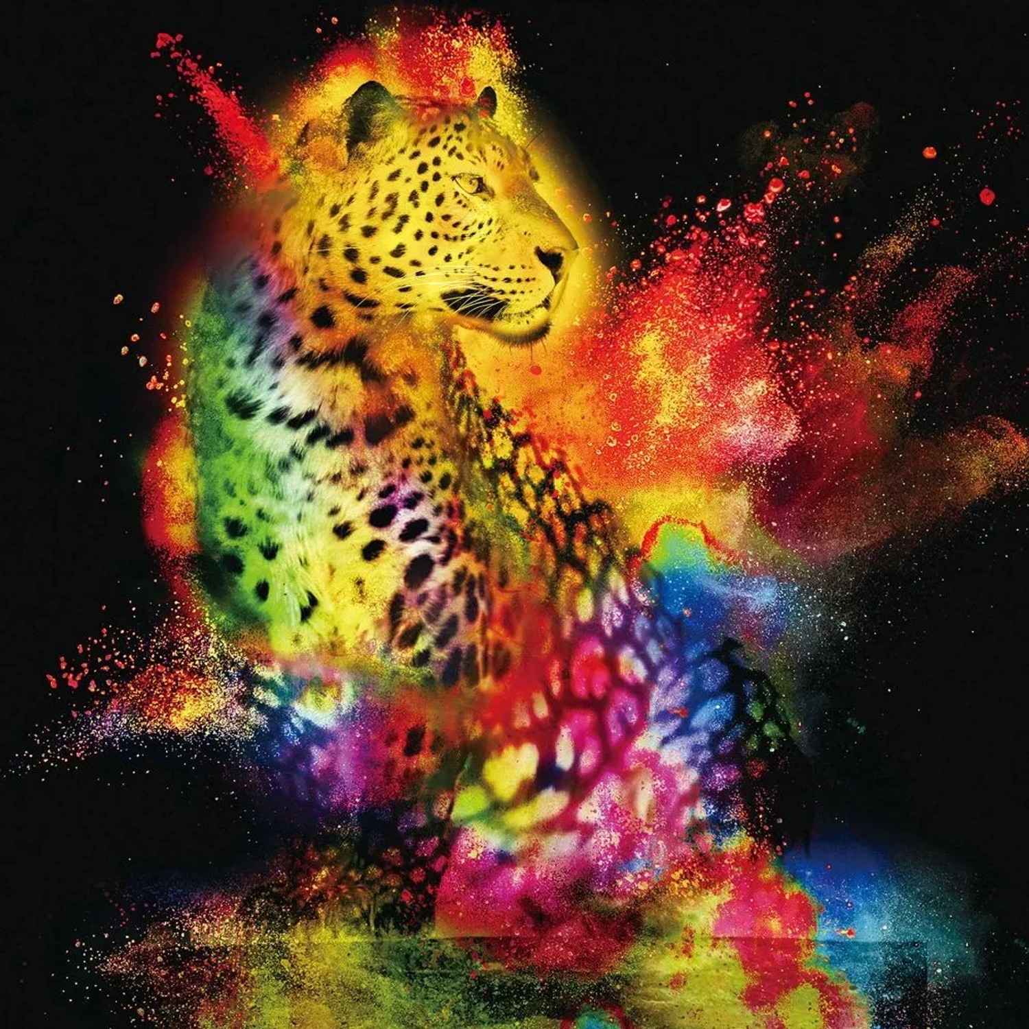 Art Universe Glasbilder Leopard im Farbenspiel 80 x 80 cm