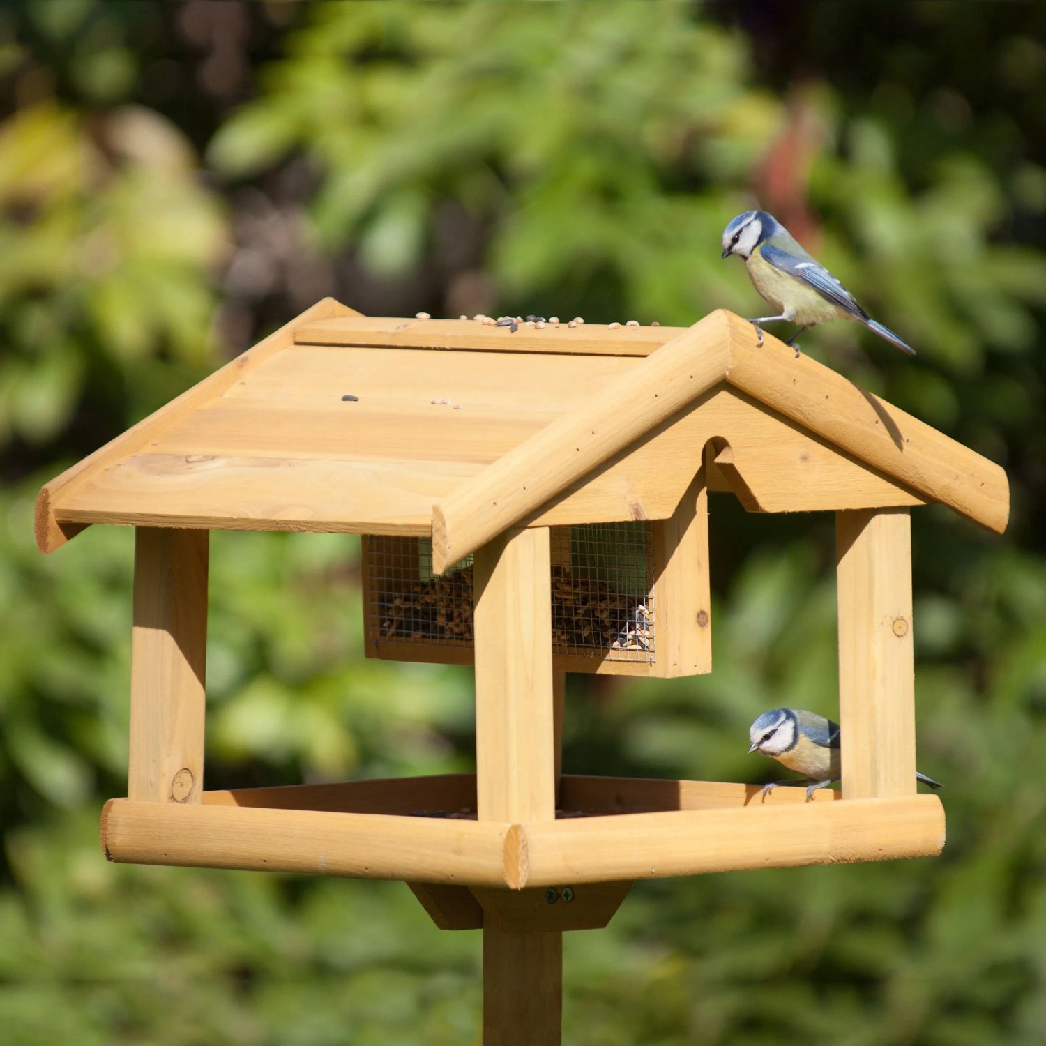Hölzernes Vogelhaus aus Tannenholz mit Ständer, Dach und Futtersilo. Zwei Blaumeisen fressen am Futtertisch.