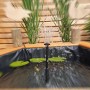 Promadino Hochteich mit Solarpumpe und 4 Pflanzzonen aus Kiefernholz, mit Seerosen und Wasserspiel.