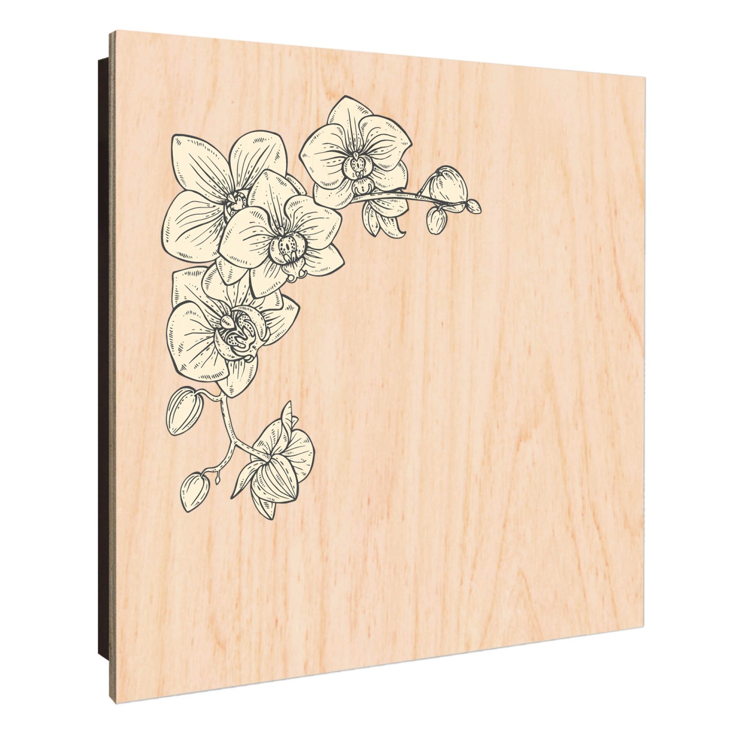 Banjado Schlüsselkasten Holz 30x30cm Schwarz Scharnier Rechts 50 Haken Desi günstig online kaufen