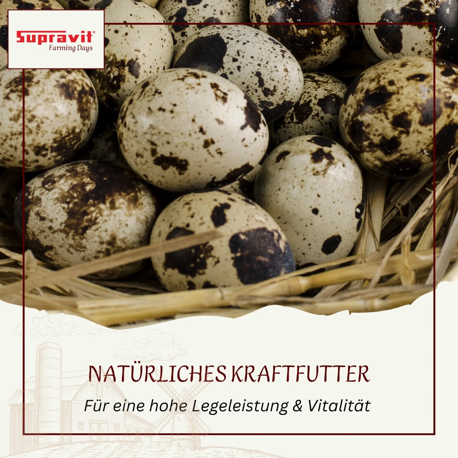 Supravit Braugerste Ergänzungsfutter für Hühner_4