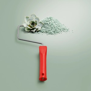 Schöner Wohnen Wandfarbe Spa Grün: Farbroller mit Farbe und Sukkulente auf grünem Grund.