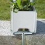 Alba Blumenkastenhalter H-Form für Mauern mit bepflanztem Blumenkasten.