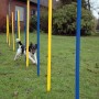 Dobar Agility Slalom Set mit Hund im Parcours, 12 Stangen blau und gelb, für Hundetraining.