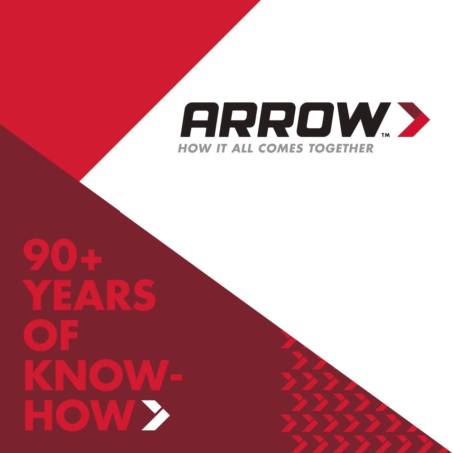 Arrow Klammern JT21 V2A, 10 mm, 500 Stück, für Bastel- und Reparaturarbeiten.