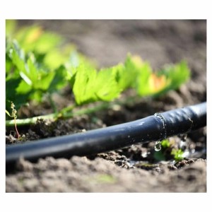 Cellfast Tropfschlauch-Anschluss 5/8 Zoll mit Hahnanschluss 16 mm im Einsatz.