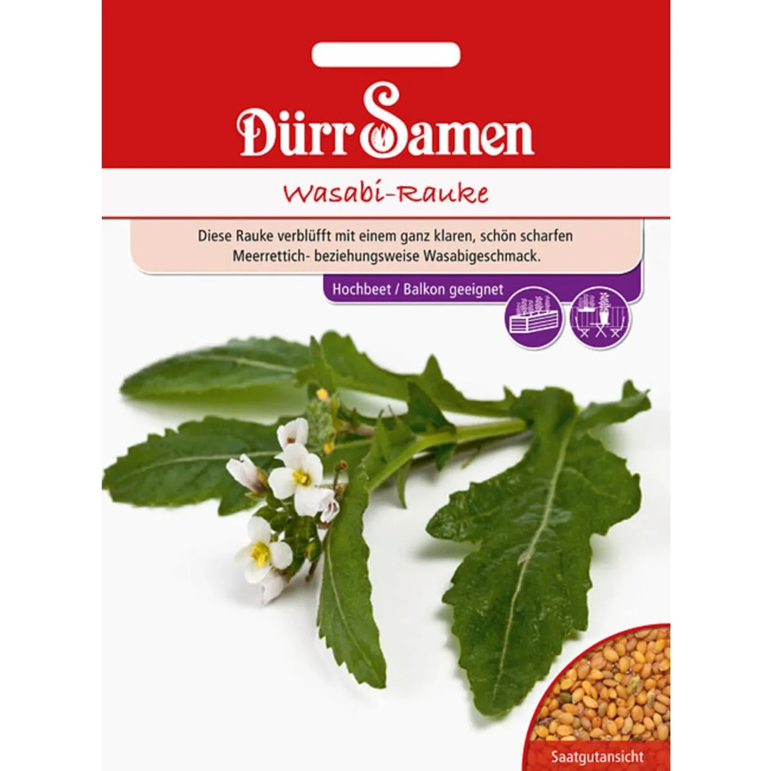 Dürr Samen Wasabi-Rauke Saatgut