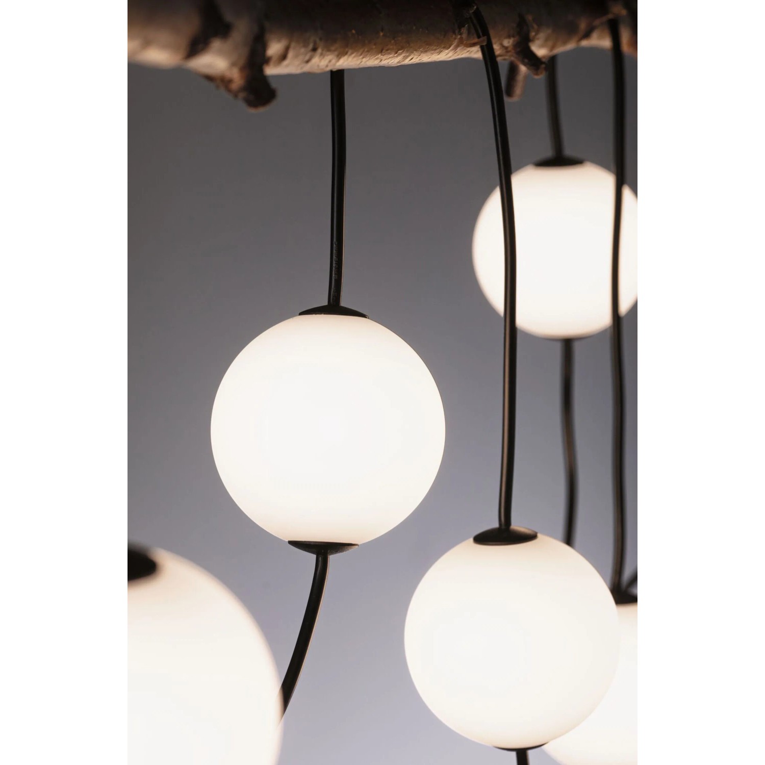 Paulmann LED-Lichterkette Naima Plug & Shine Basisset mit weißen Lichtkugeln, an einem Ast hängend. Warmweißes Licht.