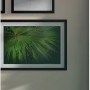Lichtausschnitt ESG Floatglas 53,5x142cm für Holz-Innentür, mit Pflanzenbildern an der Wand.